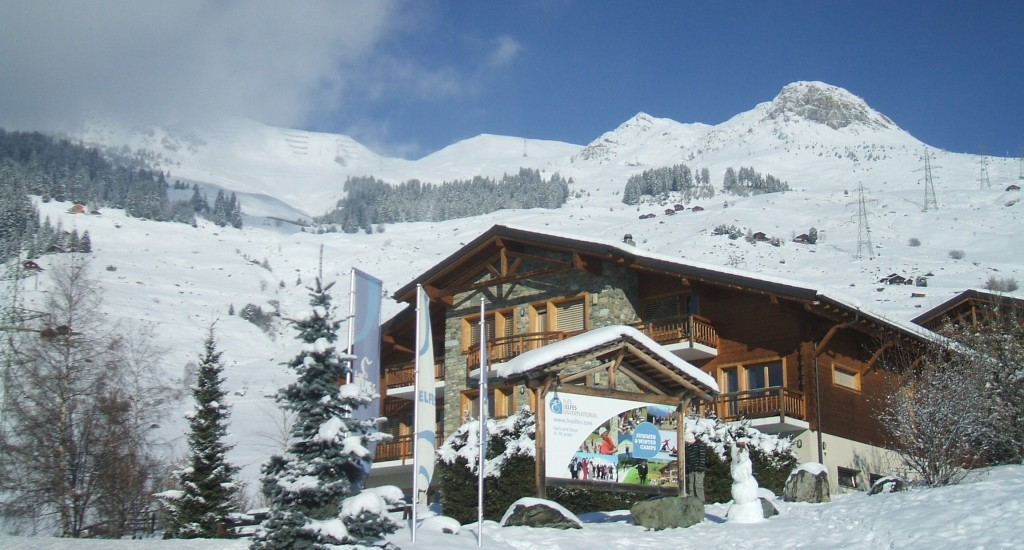 LES ELFES ZIMSKI KAMP